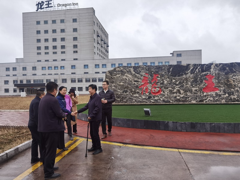 岳氏集團董事長岳平安一行考察綏化大豆深加工產業(yè)